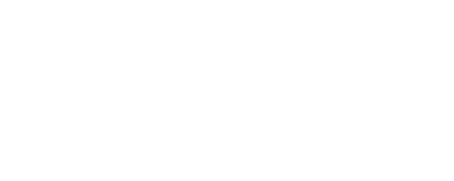 Nabbani Logo
